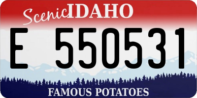 ID license plate E550531