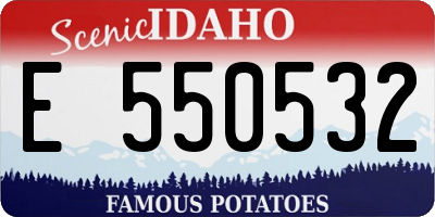 ID license plate E550532