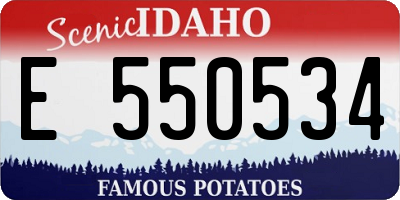 ID license plate E550534