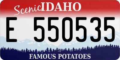 ID license plate E550535