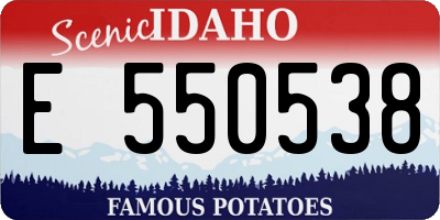 ID license plate E550538