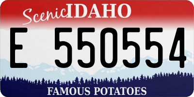 ID license plate E550554