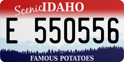 ID license plate E550556