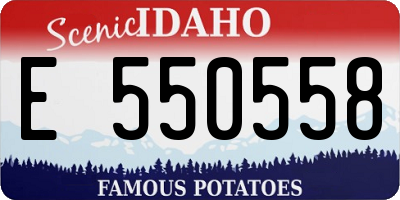 ID license plate E550558