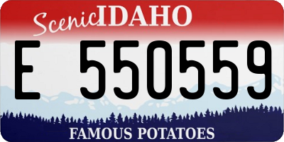 ID license plate E550559