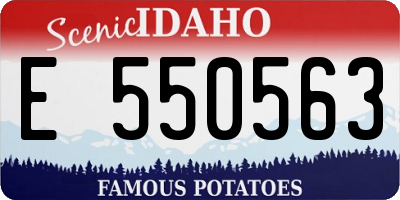 ID license plate E550563