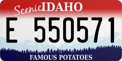 ID license plate E550571
