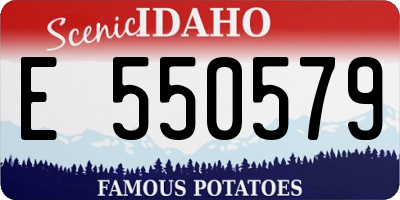 ID license plate E550579