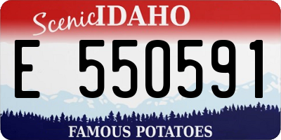 ID license plate E550591