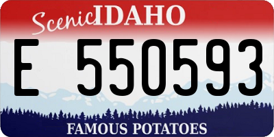 ID license plate E550593