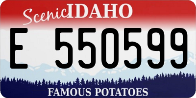 ID license plate E550599