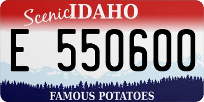 ID license plate E550600