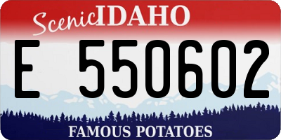 ID license plate E550602