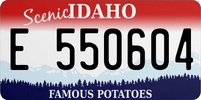 ID license plate E550604