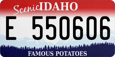 ID license plate E550606