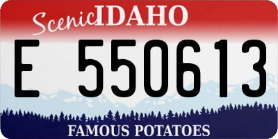 ID license plate E550613