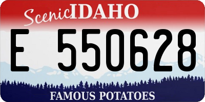 ID license plate E550628