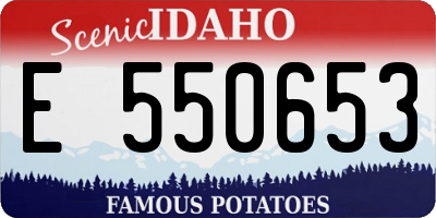 ID license plate E550653