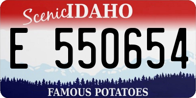 ID license plate E550654