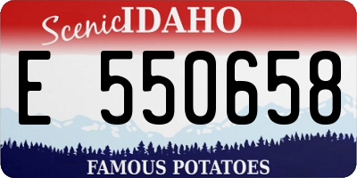 ID license plate E550658