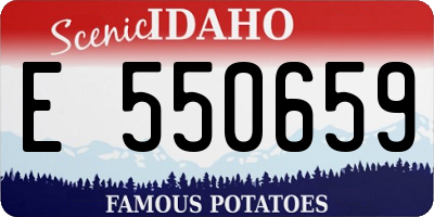 ID license plate E550659