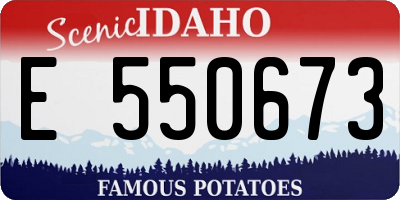 ID license plate E550673