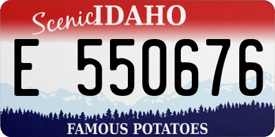 ID license plate E550676