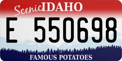 ID license plate E550698