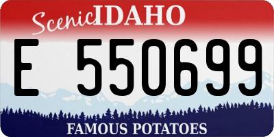 ID license plate E550699