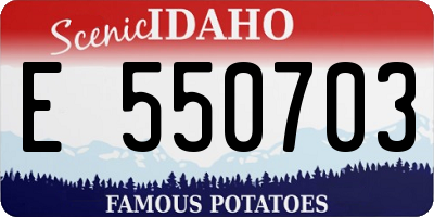 ID license plate E550703