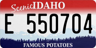 ID license plate E550704