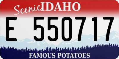 ID license plate E550717