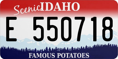 ID license plate E550718