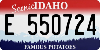 ID license plate E550724