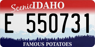 ID license plate E550731