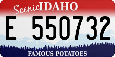 ID license plate E550732
