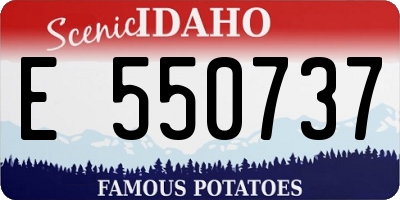 ID license plate E550737