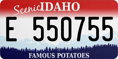 ID license plate E550755