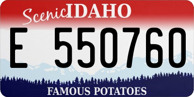 ID license plate E550760