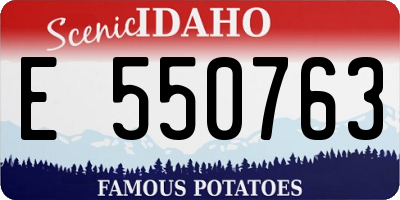 ID license plate E550763