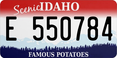 ID license plate E550784