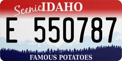 ID license plate E550787