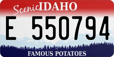 ID license plate E550794