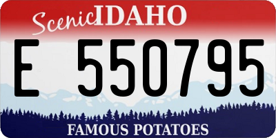 ID license plate E550795