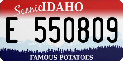 ID license plate E550809