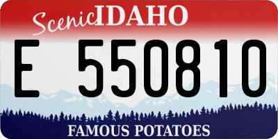 ID license plate E550810