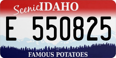 ID license plate E550825