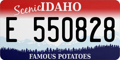 ID license plate E550828