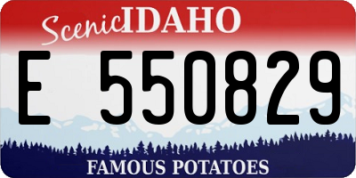ID license plate E550829