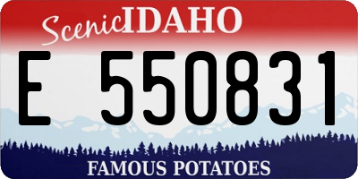 ID license plate E550831